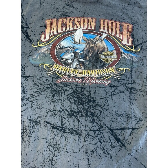 Chester's Harley Davidson Jackson Hole Wyoming Tshirt AOP Mens Large 19x26 Y2K - Picture 3 of 8